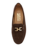 Saba Suede Gancini Driver, Cacao