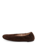 Pond Suede Ballerina Flat, Chocolate