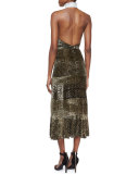 Lace-Inset Velvet Backless Dress
