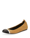 Graphic Cap-Toe Ballerina Flat