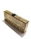Flavia Confetti Acrylic Clutch Bag, Golden