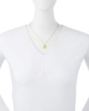 18k Diamond Paw Disc Pendant Necklace