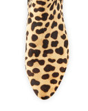 Orsay Calf-Hair Chelsea Boot, Leopard/Coconut