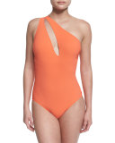 Hanna One-Shoulder Swimsuit with Cutout