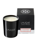 Gingembre Yunnan Scented Candle