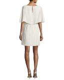Zena Embroidered Silk Georgette Cocktail Dress, Ivory