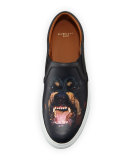 Men's Rottweiler-Print Leather Skate Shoe, Black