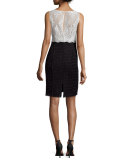 Lace & Tweed Combo Sheath Dress