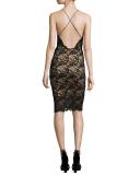 Drive Me Home Lace Cocktail Dress, Black