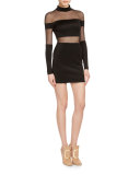 Mock-Neck Sheer-Striped Mini Dress, Black