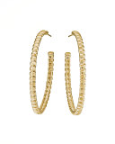 Bedeg 18k Gold Medium Hoop Earrings
