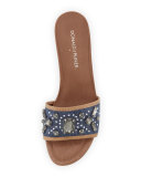Maxx Jeweled Low-Heel Slide Sandal, Denim/Silver