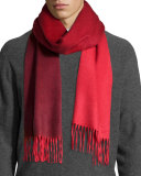 OMBRE SCARF 36 X 183