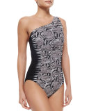 Argento Mixed-Print One-Shoulder Swimsuit
