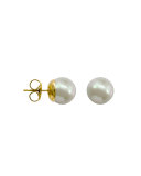 10mm Simulated Pearl Stud Earrings