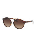 Gradient Round Double-Bridge Sunglasses, Brown Havana