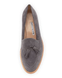 Aldena Tassel Suede Loafer, Gray