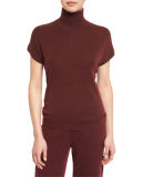 Laura Short-Sleeve Merino Turtleneck Top