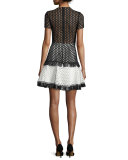 Cinthia Short-Sleeve Eyelet Mesh Mini Dress, Black/White