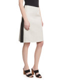 Ribbed-Inset A-Line Skirt, Black