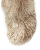 Alpaca Wood-Heel 80mm Bootie, Natural