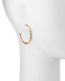 Wrapped Horn-Shaped Hoop Earrings