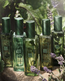 Wild Strawberry & Parsley Cologne, 1.0 oz.