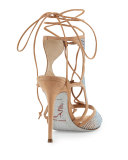 Crystal-Embellished Suede Ankle-Wrap Sandal, Beige/Topaz