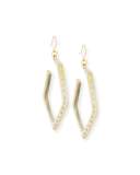 Awali Studded Light Horn Hoop Earrings