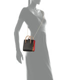 Paloma Nano Calf Tote Bag, Black/Brown