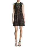 Roswell Geometric Lace Sleeveless Dress