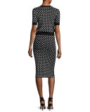 Polka-Dot Short-Sleeve Crewneck Sweater, Black/White