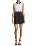 Desra Sleeveless Lace & Crepe Dress, Black/White