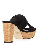Draft Suede Platform Slide Sandal