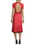 Floral Lace Open-Back Cocktail Dress, Red/Black