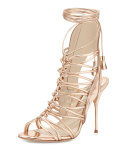 Lacey Lace-Up Gladiator Sandal, Rose