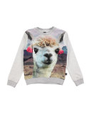 Magine Crewneck Llama Sweatshirt, Gray, Size 3-12