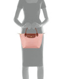 Le Pliage Small Handbag