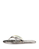 Emory Buckle Flat Thong Sandal, Gunmetal