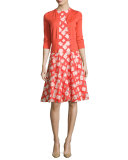 Sleeveless Godet A-Line Dress, Coral/Blush
