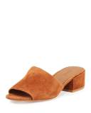Rachelle 2 Suede Block-Heel Mule Sandal