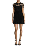 Peter Pan Collar Lace Dress