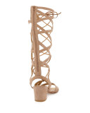 Grecian Suede Tall Gladiator Sandal