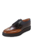 Tricolor Leather Wing-Tip Derby Shoe, Brown