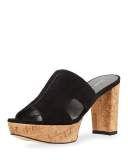 Draft Suede Platform Slide Sandal