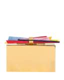 Wolf Shard Matte Clutch Bag