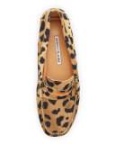 Roadster Leopard-Print Suede Driver, Leopard