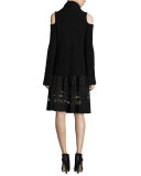 Frances Pleated Lace-Paneled A-Line Skirt, Black