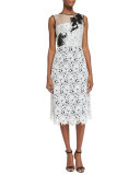 Sleeveless Lace Cocktail Dress, White/Black