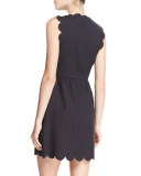 Scalloped A-Line Dress w/ Gold Buttons, Navy